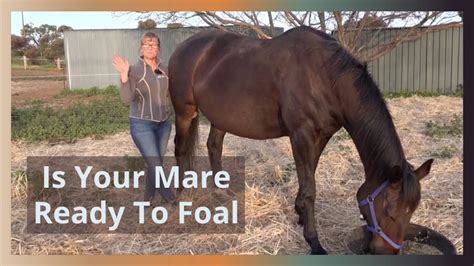 The Price of Convenience: Trade-offs of Mare Magic Side Effects